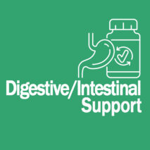 Digestive Intestinal